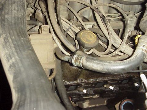 1989 Ford Bronco - Close-up view of engine components including hoses and wiring harness.