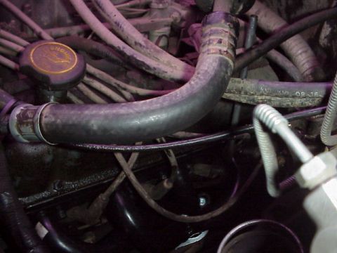 1989 Ford Bronco - Tight engine-bay shot showing a black rubber heater/upper hose routed across the valve cover area, with a black oil filler cap marked with…