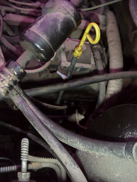 1989 Ford Bronco - Close-up view of an engine bay, focusing on the oil dipstick and surrounding mechanical parts.