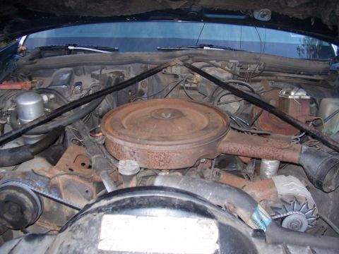 1999 Ford Crown Victoria - The engine bay shows signs of age with a prominent, rusty air filter housing and visible engine components.