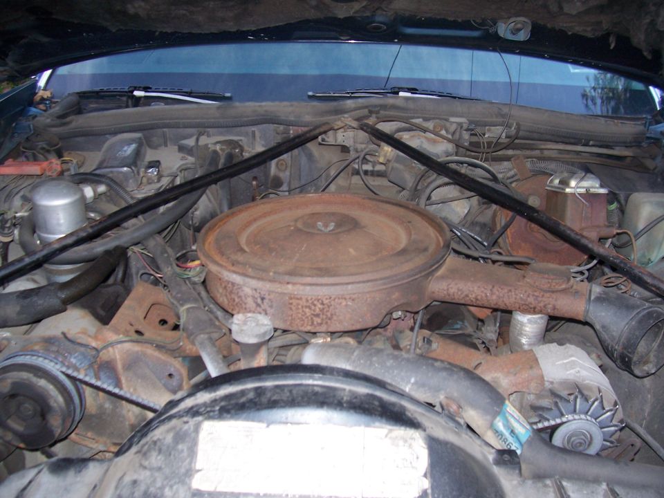 Engine bay with a rusty air cleaner and various hoses and belts