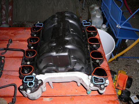 1997 Mercury Grand Marquis - Composite V8 intake manifold flipped over on an orange cart to show the underside, with fresh orange port gaskets and blue coolant crossove…