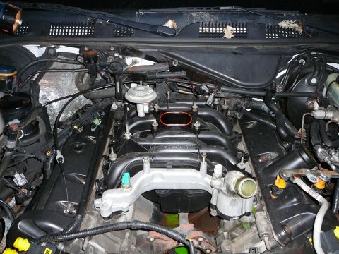 1997 Mercury Grand Marquis - Engine bay viewed from the front with the black composite V8 intake manifold unbolted and ready to lift out, mounting studs standing up and…