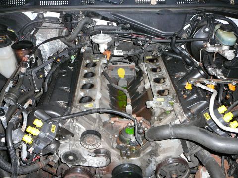1997 Mercury Grand Marquis - V8 engine bay with the intake manifold pulled off, exposing the open cylinder head intake ports on both banks and the green coolant residue…
