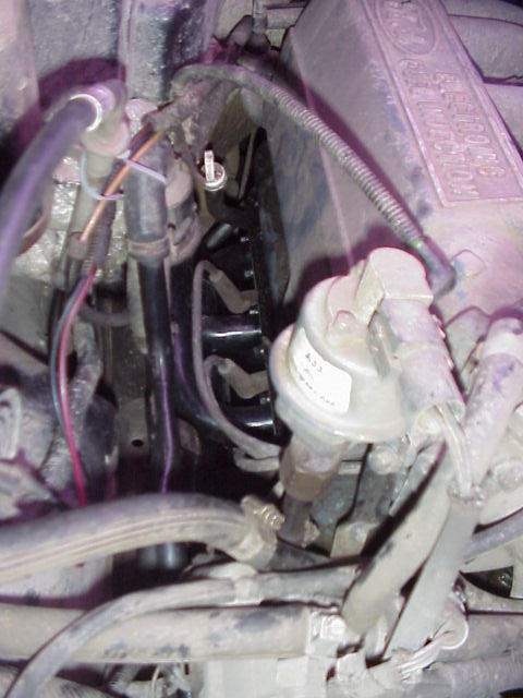 1989 Ford Bronco - Close-up view of an engine bay, showing the distributor and a valve cover with "Electronic Fuel Injection" text.