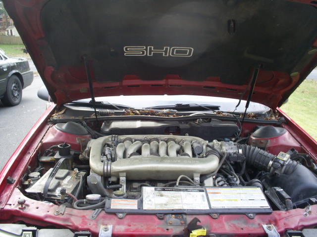 1995 Ford Taurus SHO engine bay with hood open. V8 engine, battery, and air intake visible