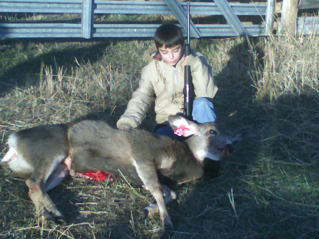 Deer carcass on grassy ground with a boy holding a rifle next to it