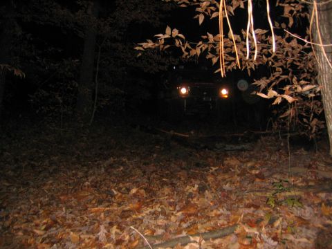 1979 Ford Bronco - Vehicle parked on a wooded path at night, illuminated by its headlights.