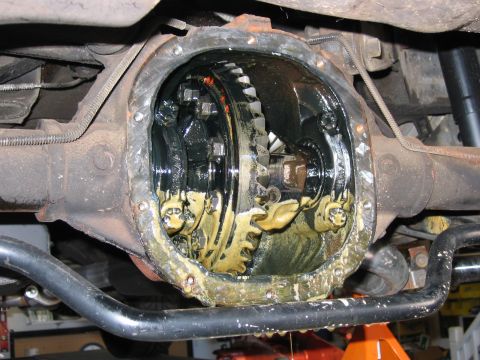 1985 Ford LTD Crown Victoria - Underside view of an open rear differential housing with the cover removed, showing the ring gear, spider gears, and carrier coated in yell…