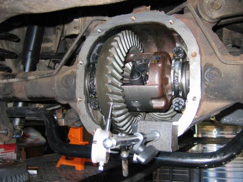 1985 Ford LTD Crown Victoria - Underside view of an open rear differential housing showing the ring gear and carrier assembly, with a dial indicator gauge mounted to meas…