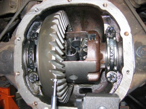 1985 Ford LTD Crown Victoria - Close-up inside a rear axle housing with the differential cover removed, showing a freshly installed ring gear on the carrier, spider gears…
