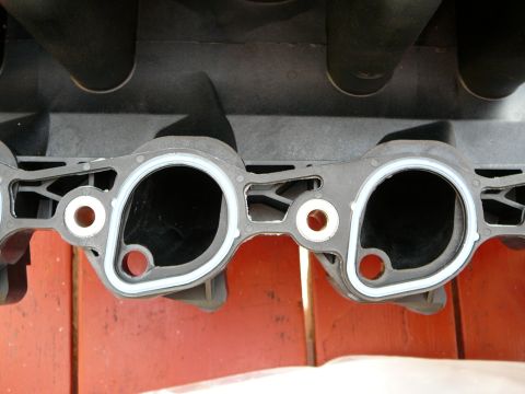 1997 Mercury Grand Marquis - This is a close-up view of an intake manifold gasket, showing its ports and sealing surfaces.