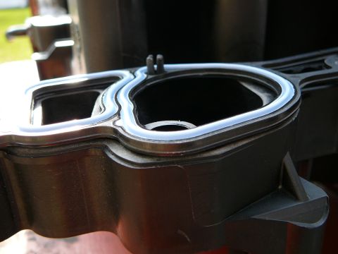 1997 Mercury Grand Marquis - A new gasket is installed on a vehicle's intake manifold, ready for reassembly.