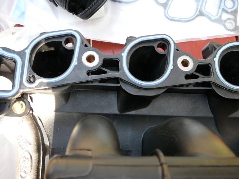 1997 Mercury Grand Marquis - Close-up of an intake manifold gasket, showing its sealing surfaces and bolt holes.