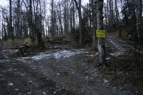 2003 Jeep TJ - A yellow sign reading 'Private Property' is attached to a tree along a dirt road in a wooded area.