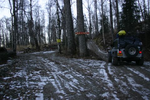 2003 Jeep TJ - A Jeep TJ navigates a snowy, wooded trail, passing trail markers.