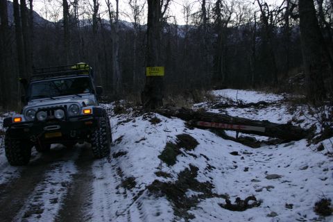 2003 Jeep TJ - A Jeep Wrangler navigates a snowy forest trail, passing a fallen tree marked with red paint.