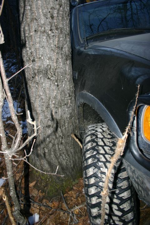 2003 Jeep TJ - A black 2003 Jeep TJ is stuck between two trees in a wooded area.