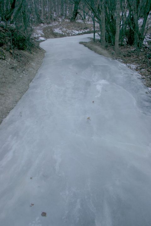 2003 Jeep TJ - A frozen path winds through a wooded area in winter.