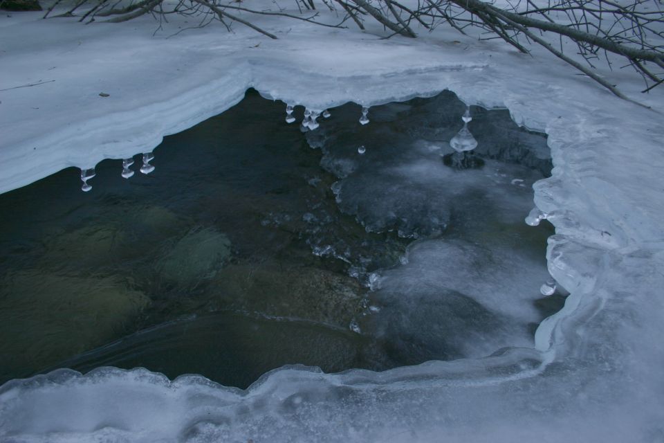 ice formations over a dark stream with branches overhead