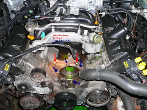 1997 Mercury Grand Marquis - Step 9,10, and 11 Remove the alternator by removing the 2 10mm bolts underneith the alternator. Set alternator aside and leave the 2 bolts…