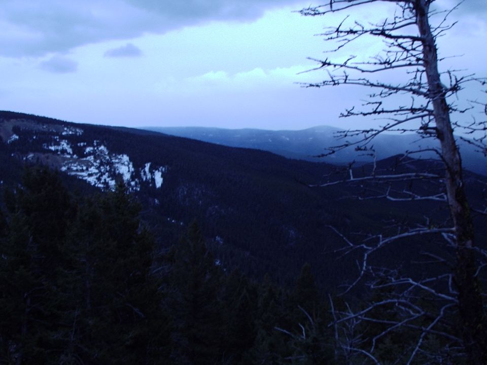 mountain range with snow patches and dark trees under a cloudy sky, bare tree branches in foreground