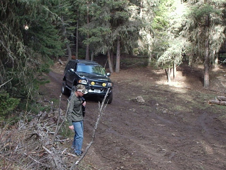 Black SUV with yellow fog lights on a dirt road in a forest