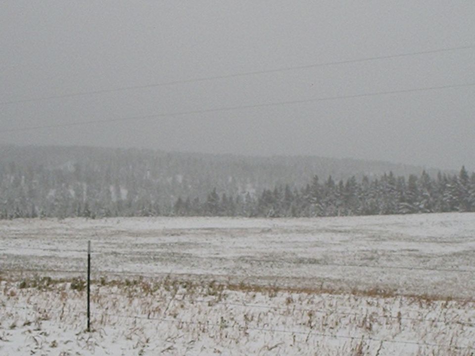 snowy field with trees in background, fence post in foreground