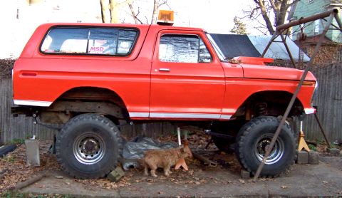 1978 Ford Bronco - This lifted 1978 Ford Bronco is parked outdoors with a small dog nearby.