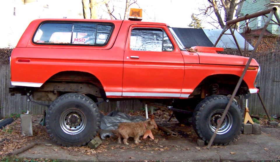 Red 1978 Ford Bronco lifted on jacks, side view, with a scoop on the hood and an MSD sticker on the rear window