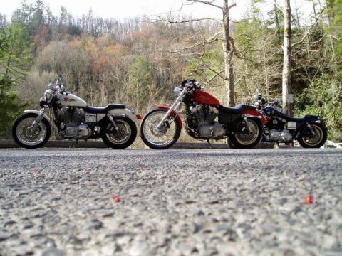 2002 Harley-Davidson Sportster Custom - Three motorcycles are parked on a gravel road with trees and a hillside in the background.