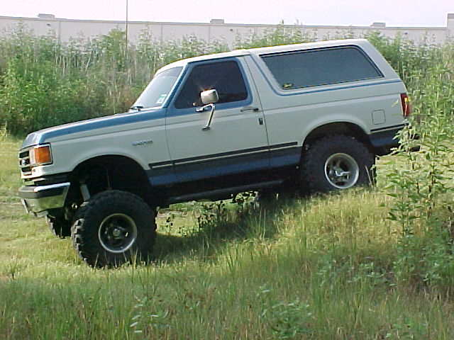 1990 Ford Bronco on grassy incline, blue stripe along lower body