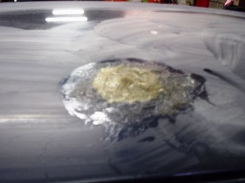 1996 Ford Crown Victoria - A close-up view of a car roof shows a repair area with filler and primer.