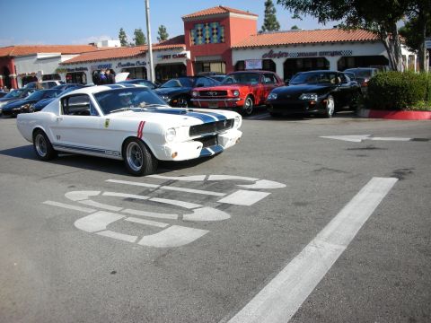1998 Ford Crown Victoria - white Shelby GT350-style fastback Mustang with blue stripes driving through a busy outdoor car show.