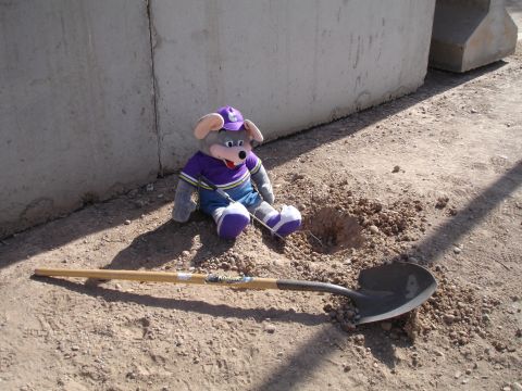 1996 Ford Probe - A plush toy resembling Chuck E. Cheese sits beside a shovel and a freshly dug hole in the dirt.
