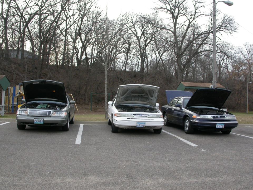 Three 2001 Ford Crown Victorias parked in a lot, hoods up