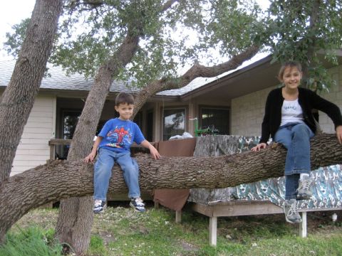 1986 Ford Bronco - A casual outdoor scene with two individuals perched on a substantial tree limb, with a building visible in the background.