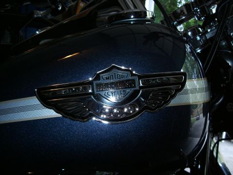 2003 Harley-Davidson Softail photo
