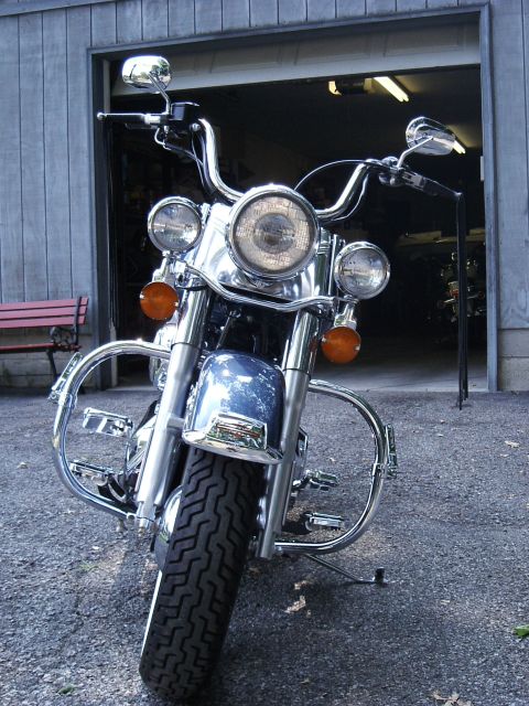 2003 Harley-Davidson Softail photo