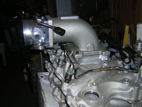 1979 Ford Bronco - Close-up view of a throttle body and fuel injectors attached to an engine block.