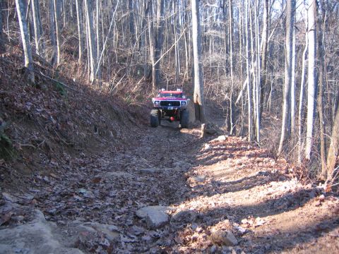 1979 Ford Bronco - A red 1979 Ford Bronco navigates a challenging off-road path through a dense forest.