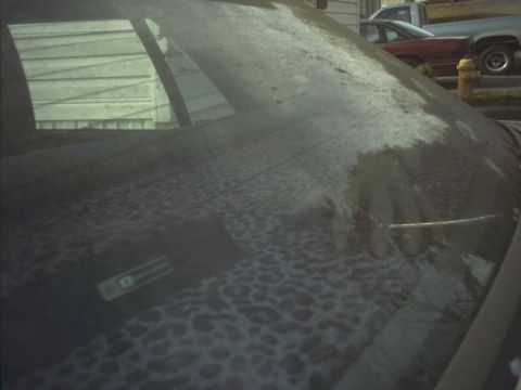 1985 Ford Crown Victoria LTD - The windshield of a vehicle shows water spots and a sticker, with reflections of other cars and a building visible.