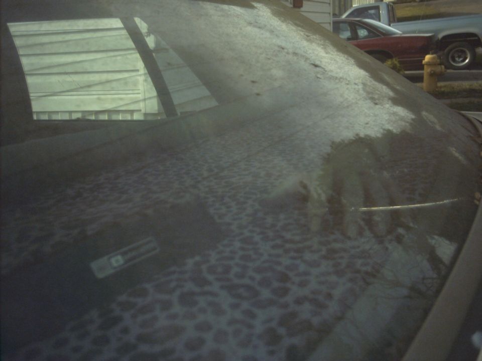 Windshield with water spots and a small rectangular sticker, showing reflections of a building and other vehicles