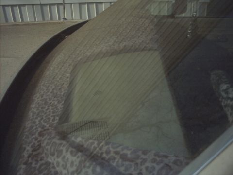 1985 Ford Crown Victoria LTD - The interior of a car features leopard print trim on the dashboard and a dusty windshield.