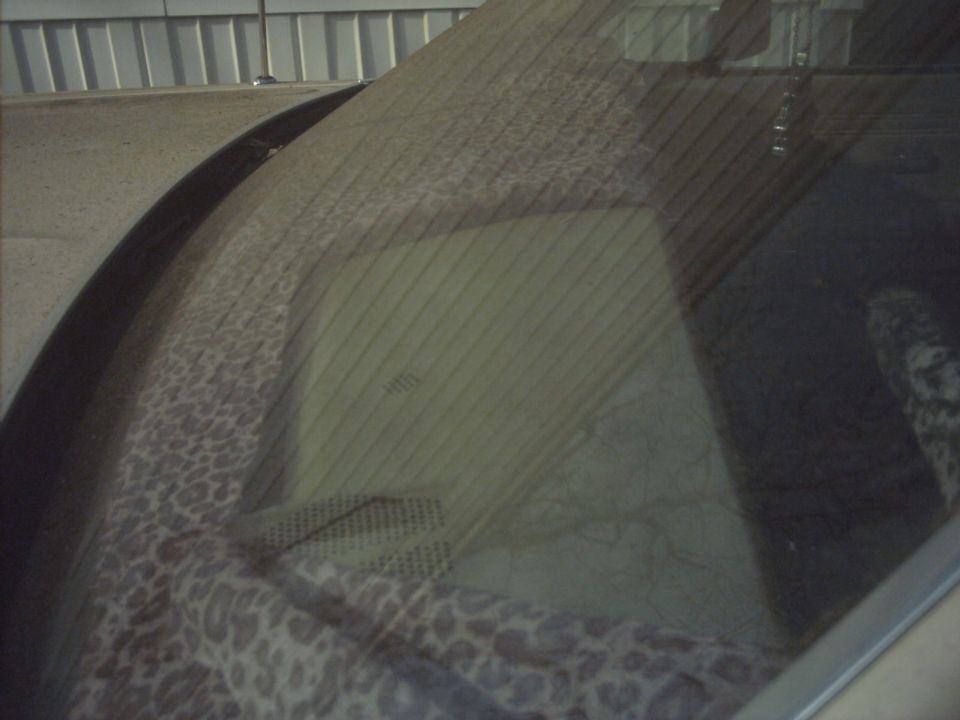 Car interior with leopard print dashboard trim and windshield