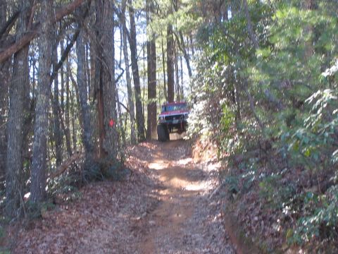 1979 Ford Bronco - A red off-road vehicle navigates a wooded trail with fallen leaves on the ground.