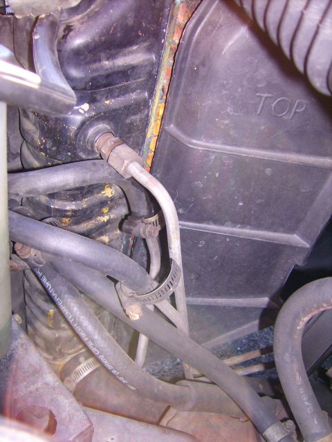 1982 Ford Crown Victoria LTD - Engine bay detail showing various hoses and a reservoir, likely part of the cooling system.