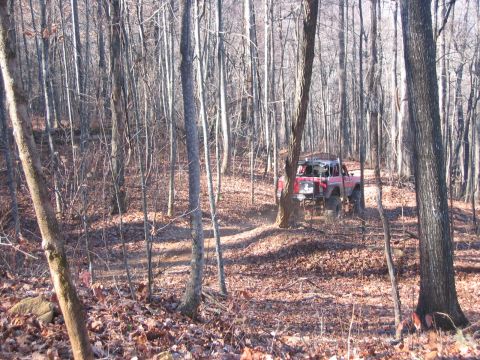 1979 Ford Bronco - A red off-road vehicle navigates a wooded trail during the daytime.