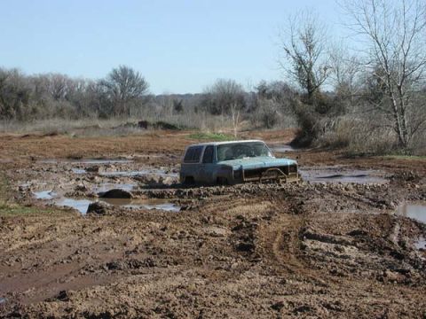 1990 Ford Bronco - D