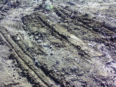 1995 Ford Bronco - Tire tracks are visible in the muddy terrain, indicating recent vehicle activity.